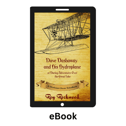 Dave Dashaway and His Hydroplane - DD2 ebook - pdworkman