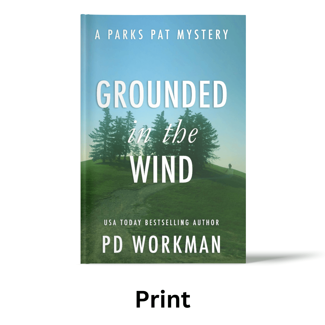 Grounded in the Wind - PP13 Paperback - pdworkman