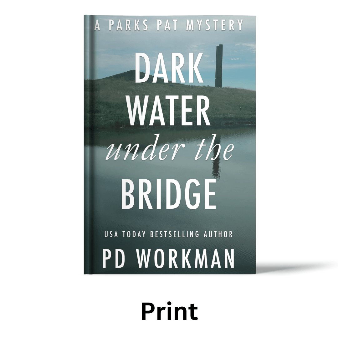 Dark Water Under the Bridge - PP3 paperback - pdworkman