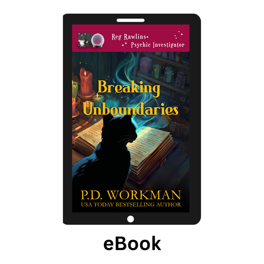 Breaking Unboundaries - RR 27 ebook