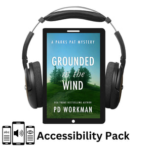 Grounded in the Wind - PP13 accessibility pack