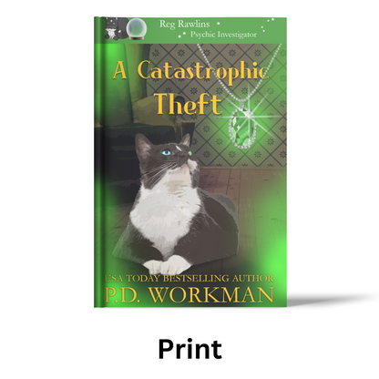 A Catastrophic Theft - RR3 paperback