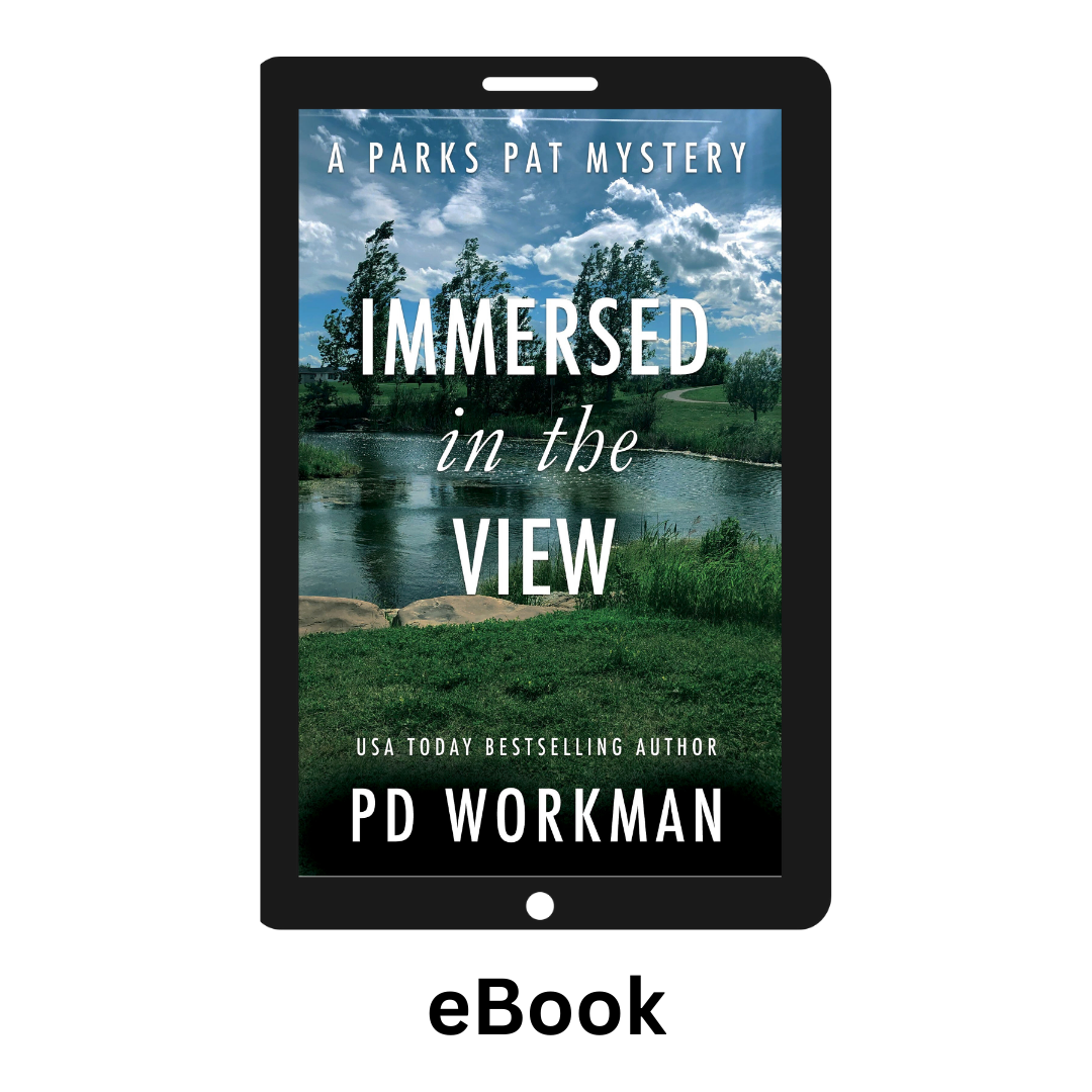 Immersed in the View - PP4 ebook