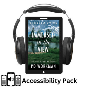 Immersed in the View - PP4 accessibility pack