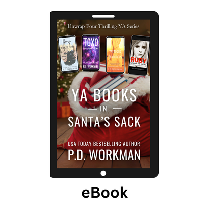 YA Books in Santa's Sack